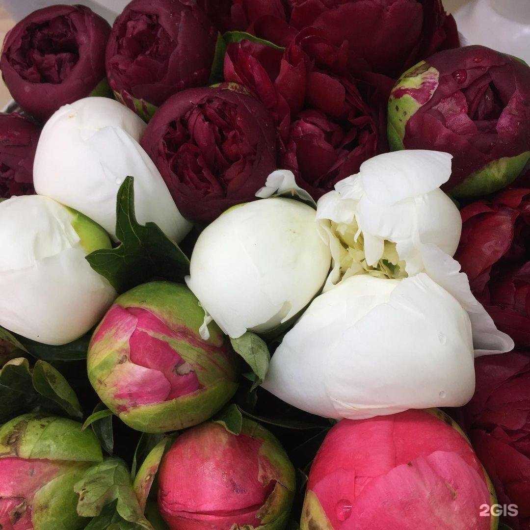 Отзывы на компанию Магазин цветов в Сертолове c фото