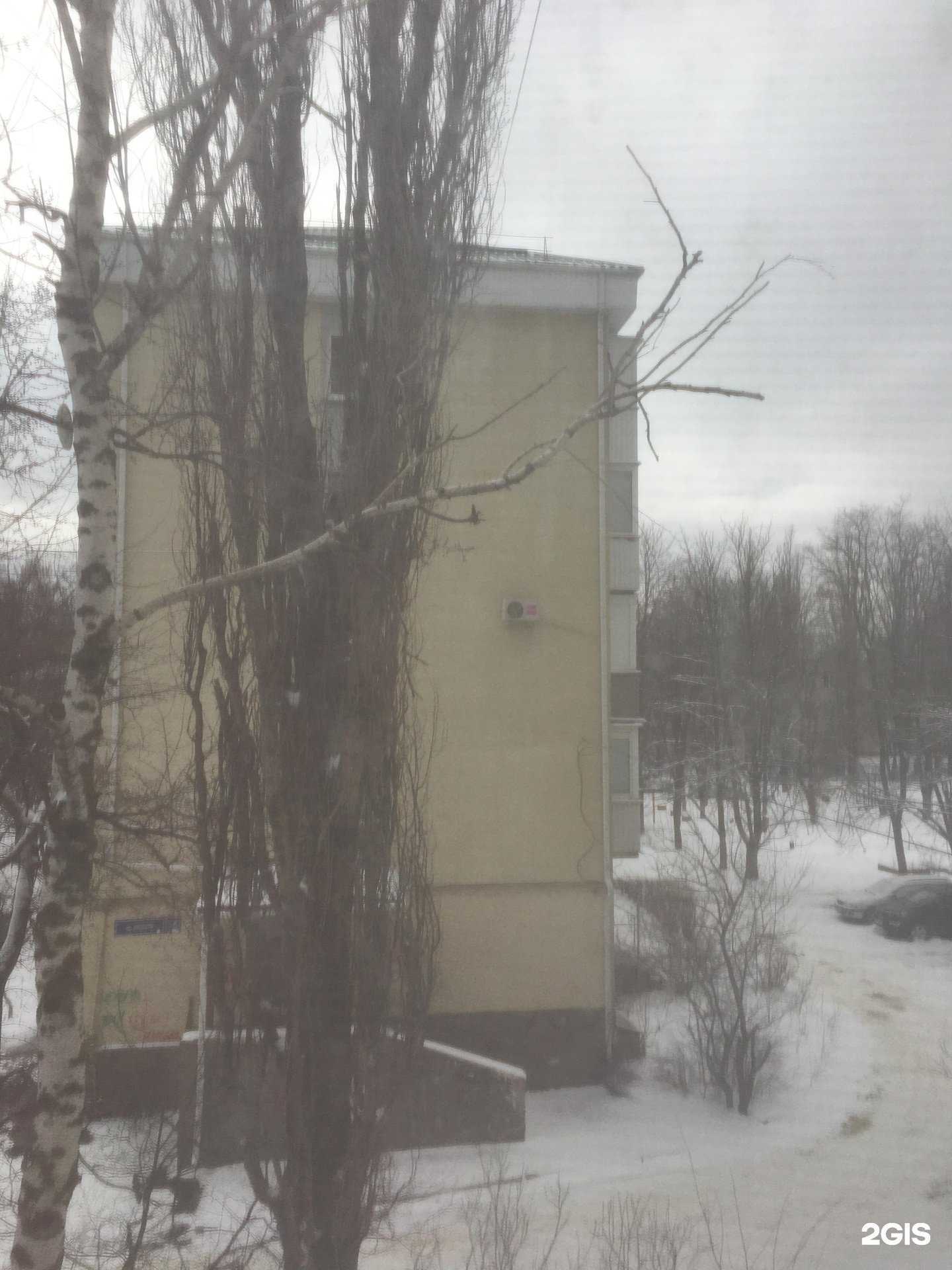 Отзывы на компанию Городской в Ставрополе c фото - фотография 2 из 2