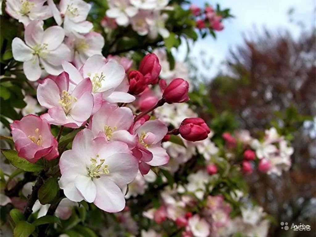 Отзывы на компанию ВышеКрыши в г. Курск c фото