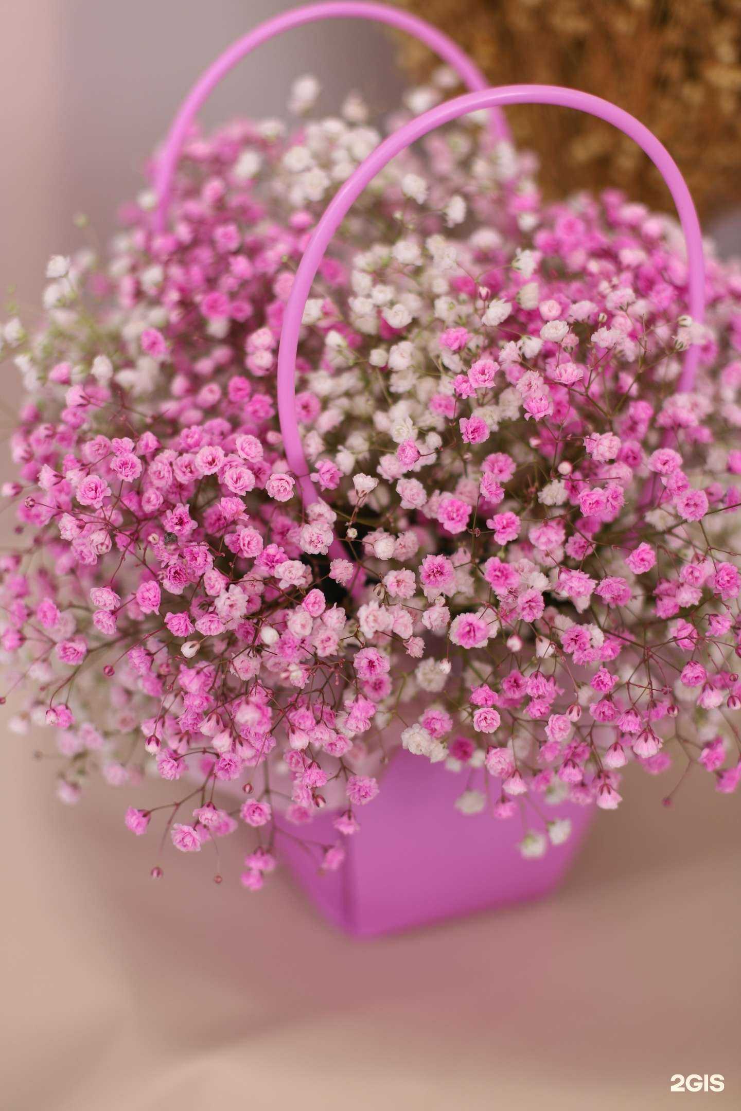 Отзывы на компанию Фрезия в Магнитогорске c фото