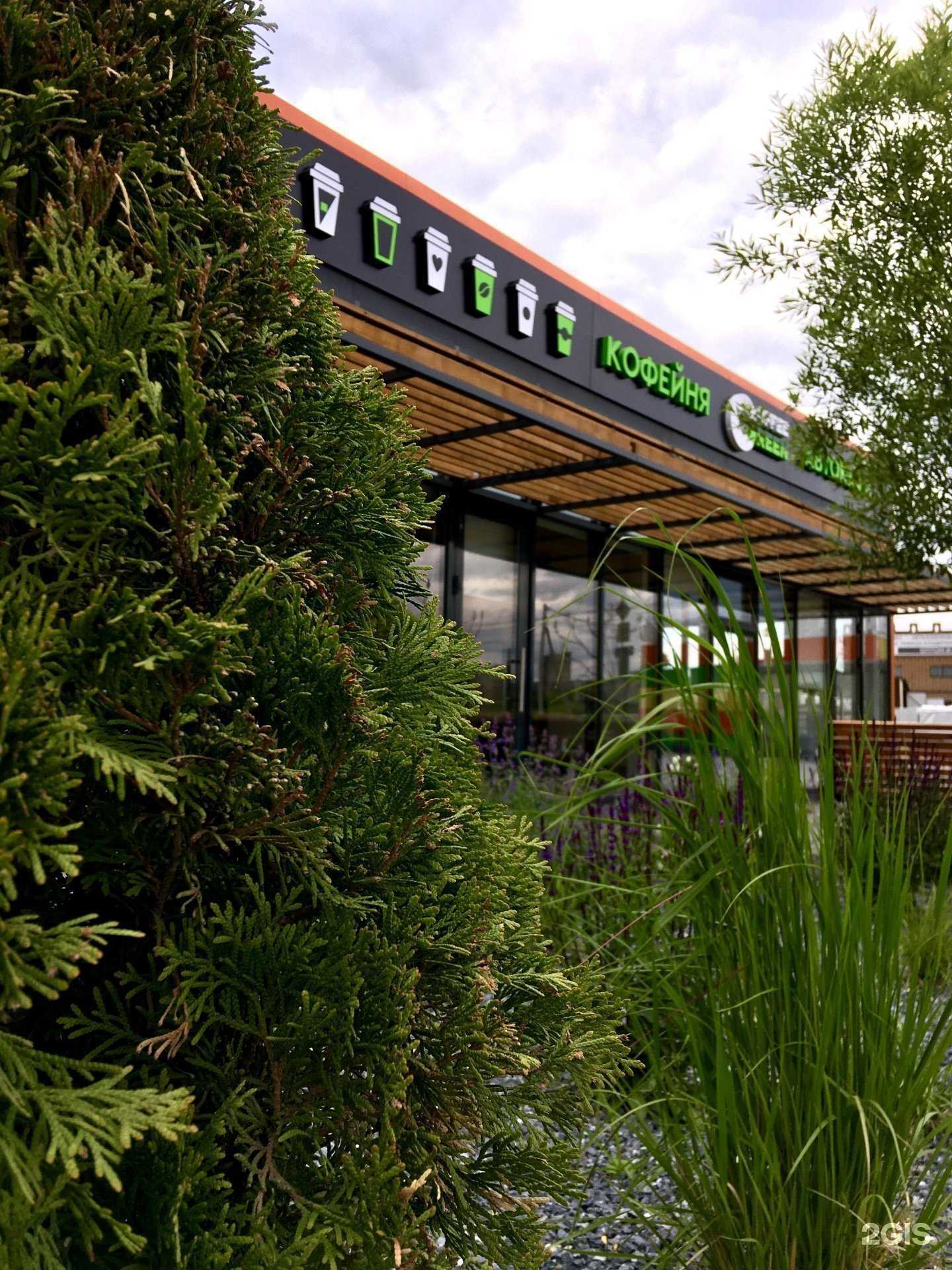 Отзывы на компанию Coffee green в г. Димитровград c фото