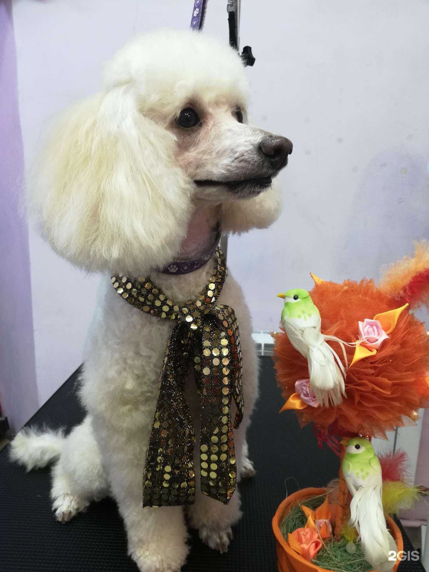 Отзывы на компанию Arsi в г. Архангельск c фото