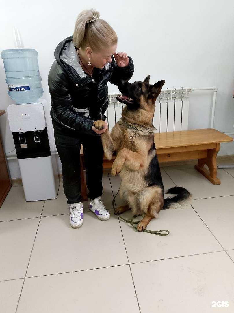 Отзывы на компанию ВетЛайф в Бийске c фото