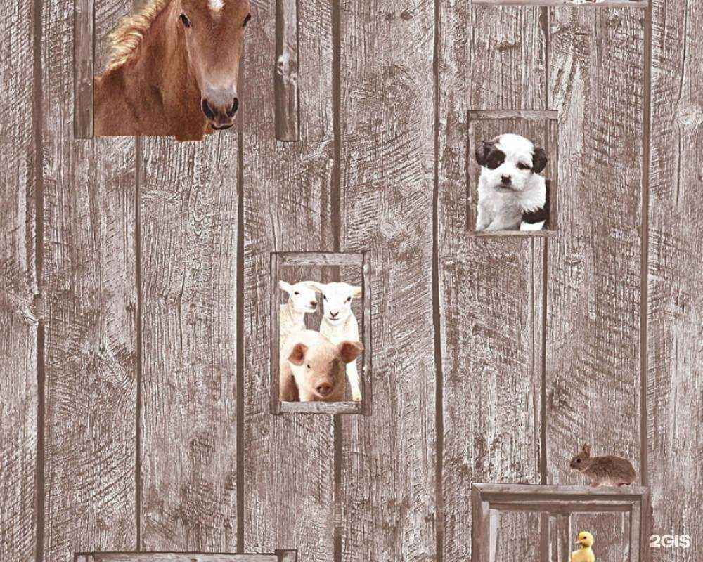 Отзывы на компанию Компания Вето в г. Псков c фото