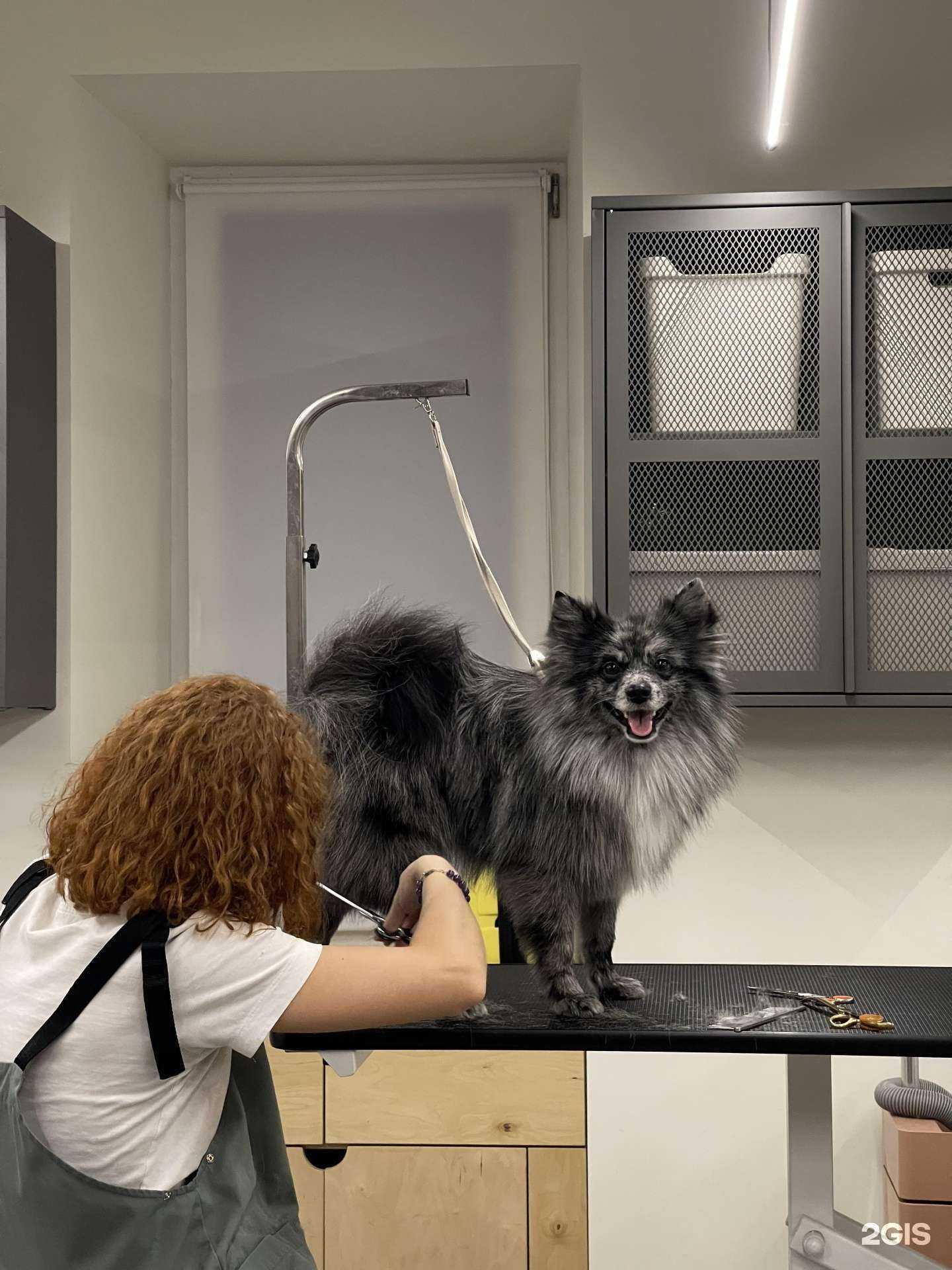 Отзывы на компанию Baby Duke в Твери c фото