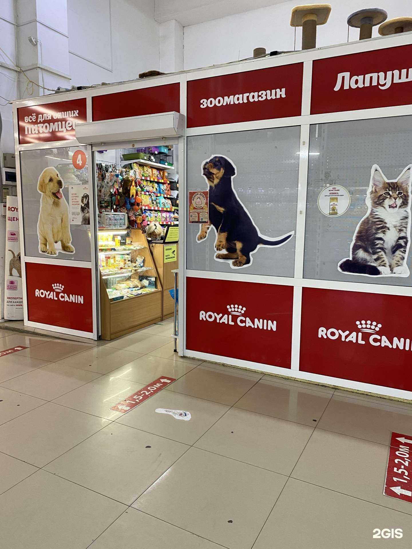 Отзывы на компанию ЛапУшки в Улан-Удэ c фото