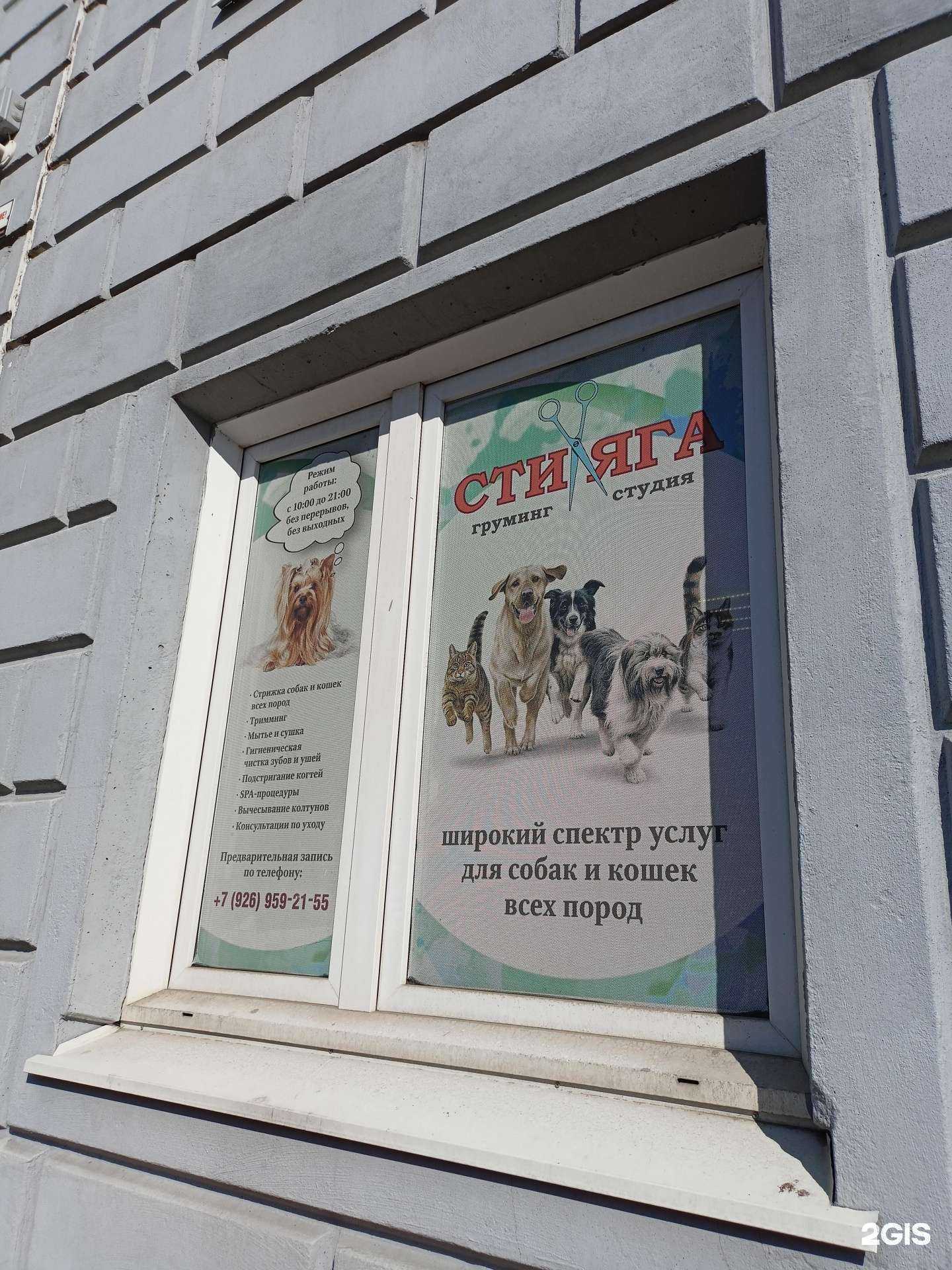 Отзывы на компанию Стиляга в Балашихе c фото