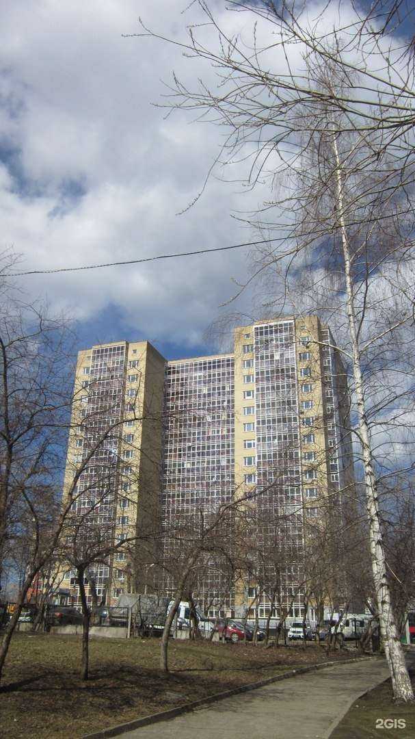 Отзывы на компанию Груминг сити в Перми c фото - фотография 2 из 2