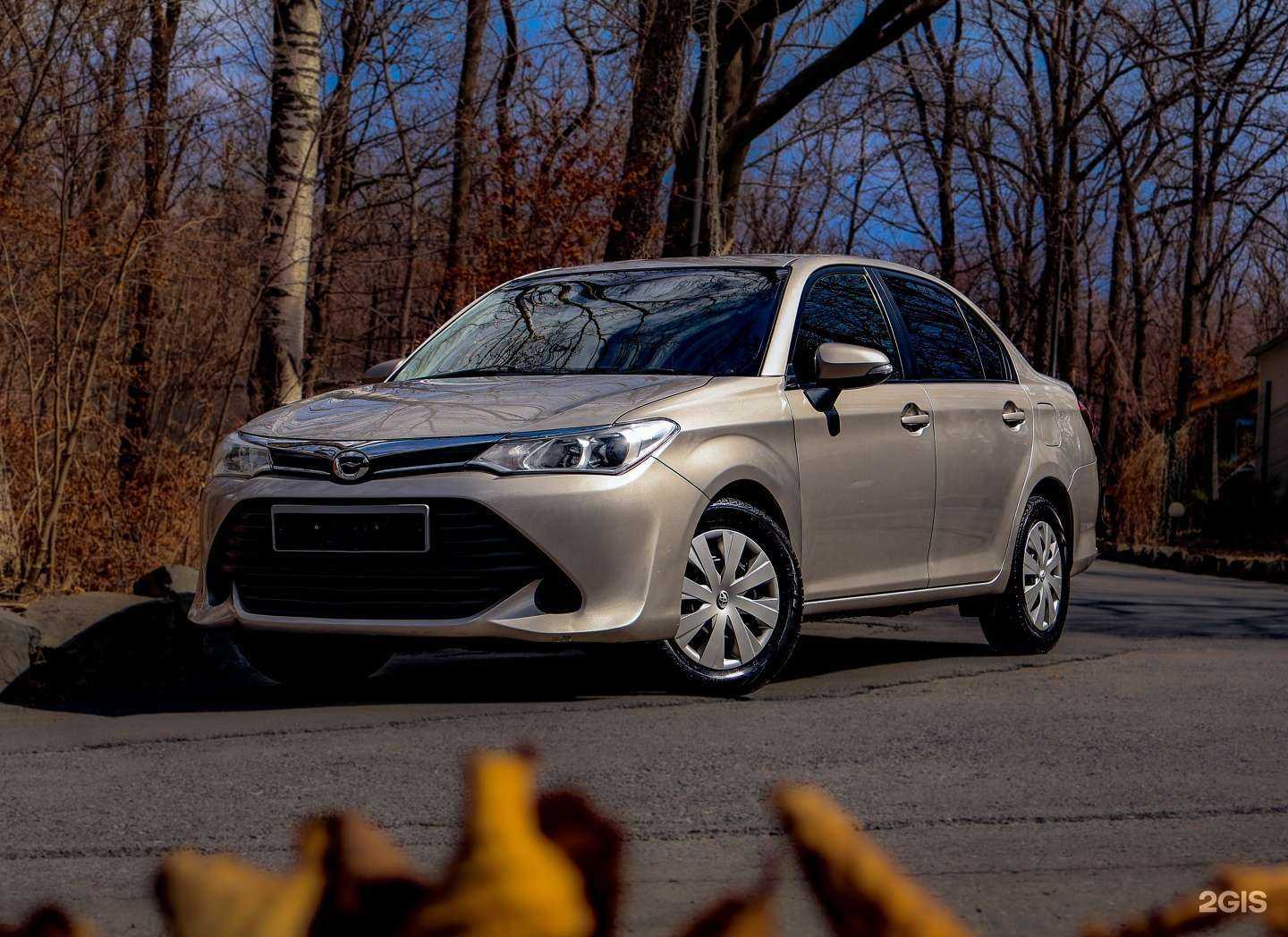 Отзывы на компанию PrimRent в Владивостоке c фото