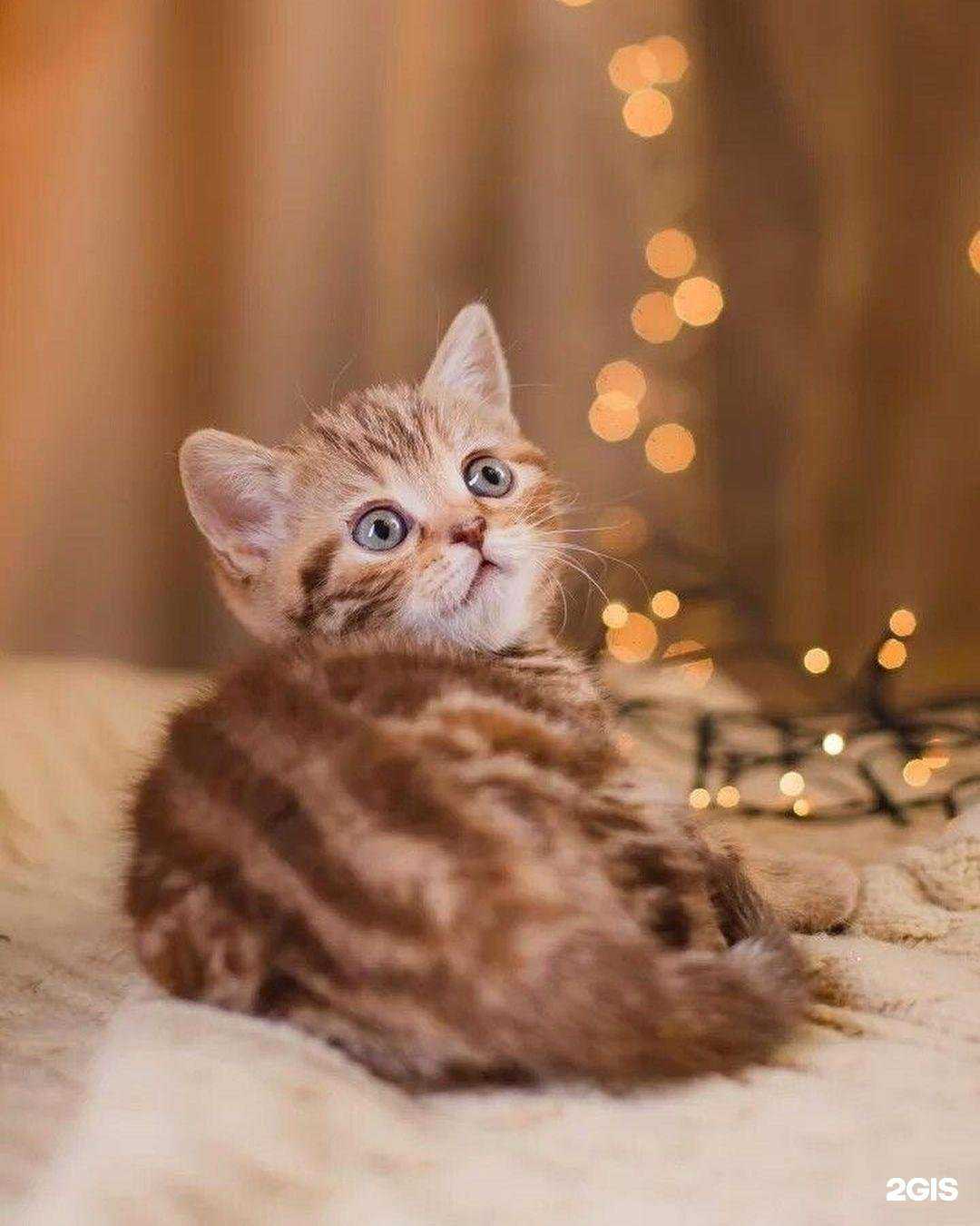 Отзывы на компанию ЗооМир в г. Петрозаводск c фото