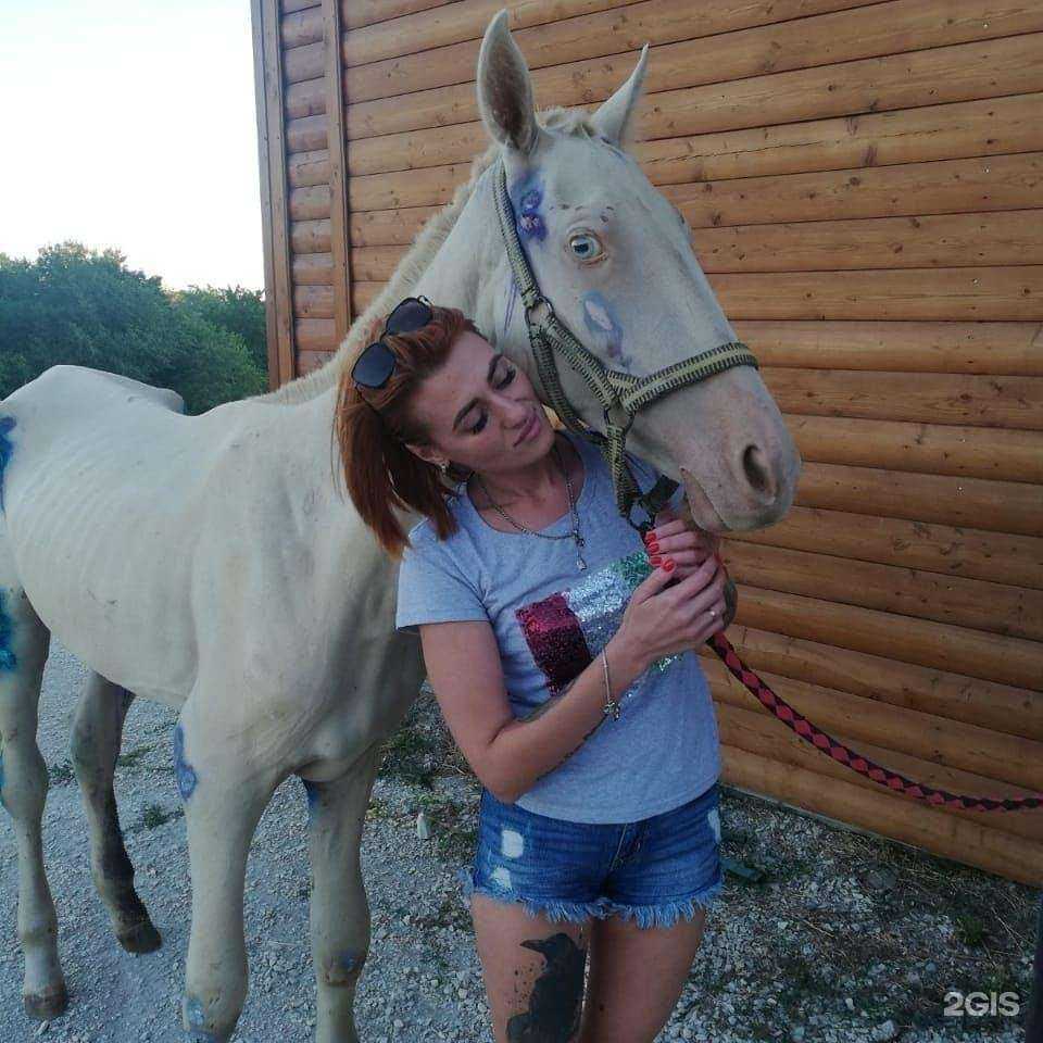 Отзывы на компанию ДоброВет в Новороссийске c фото