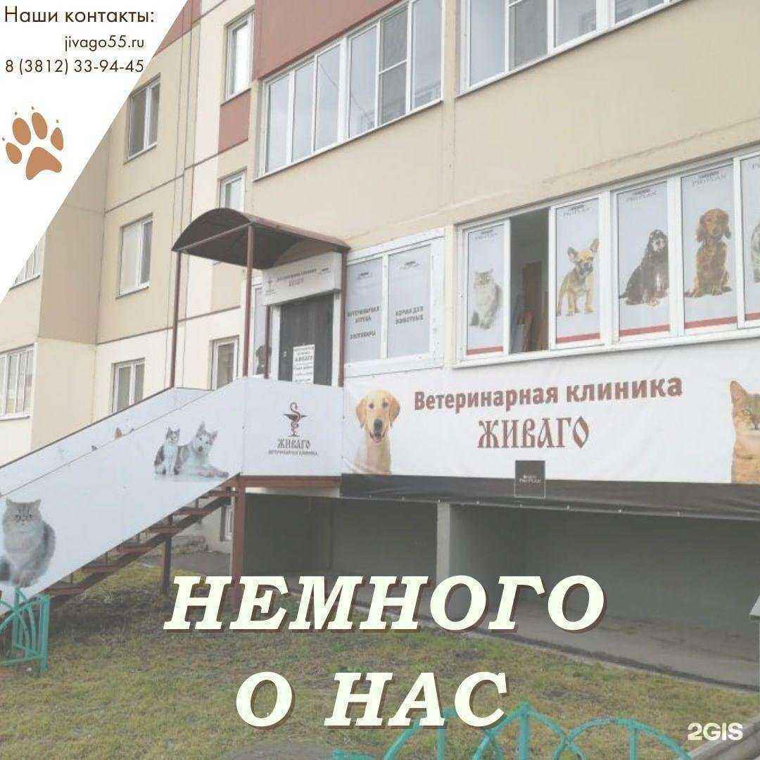 Отзывы на компанию ЖИВАГО в Омске c фото