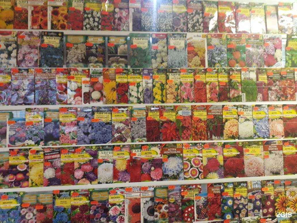 Отзывы на компанию Садоводческий магазин по продаже семян в Томске c фото