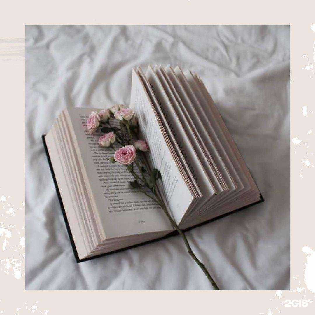 Отзывы на компанию Мурманская языковая школа в Мурманске c фото