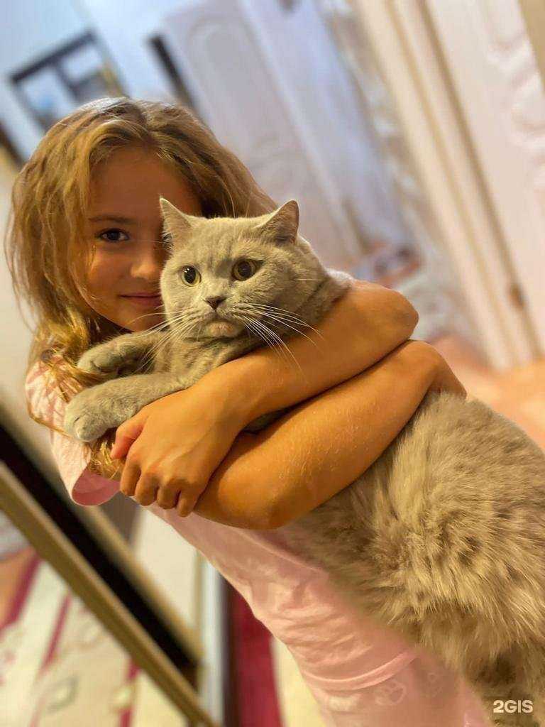 Отзывы на компанию Средняя школа №28 в Старом Осколе c фото