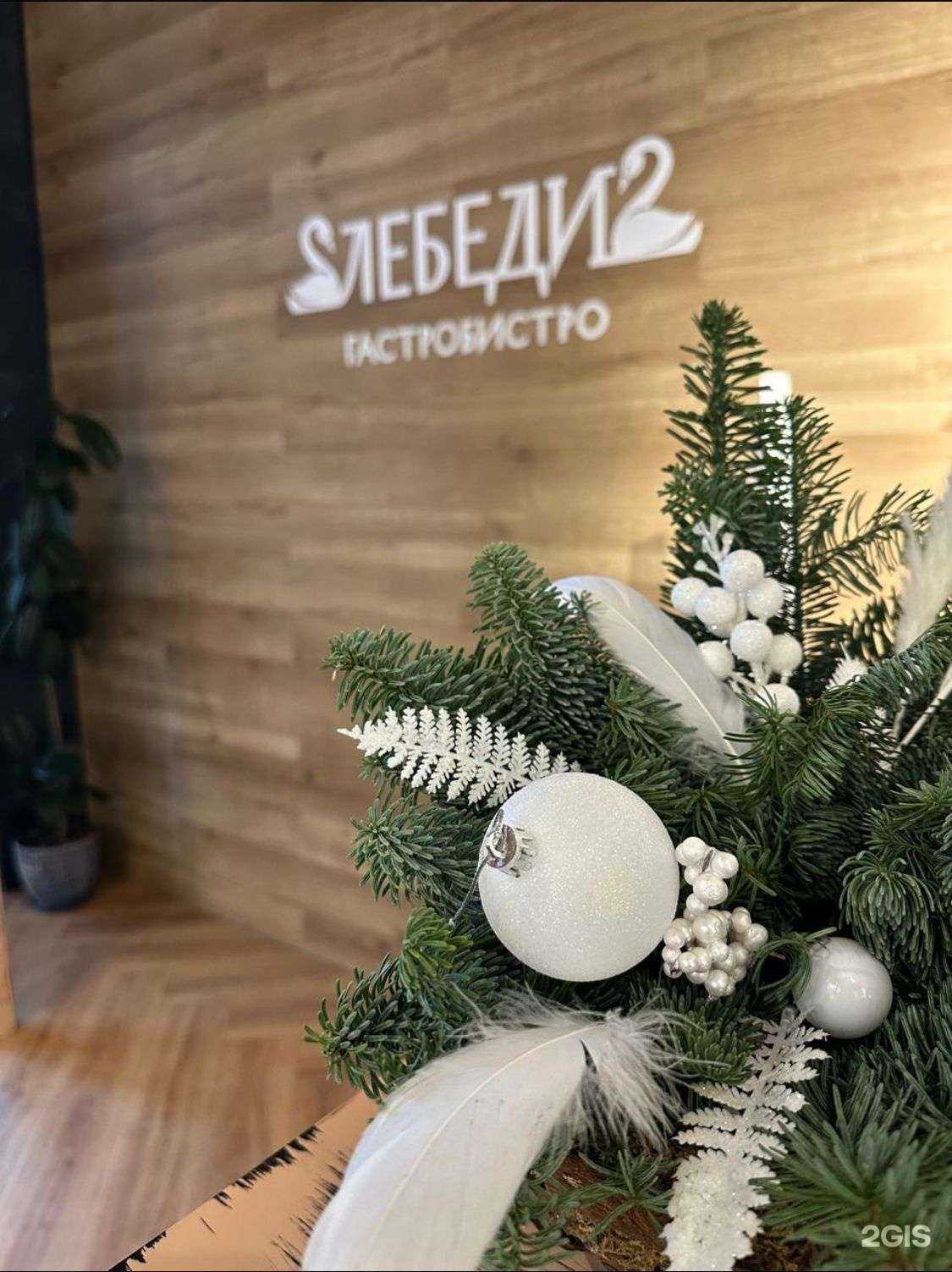 Отзывы на компанию Лебеди в Новосибирске c фото