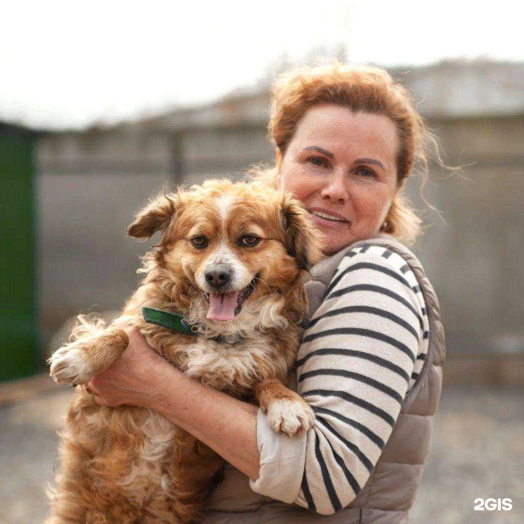 Отзывы на компанию Собачий патруль в г. Ростов-на-Дону c фото