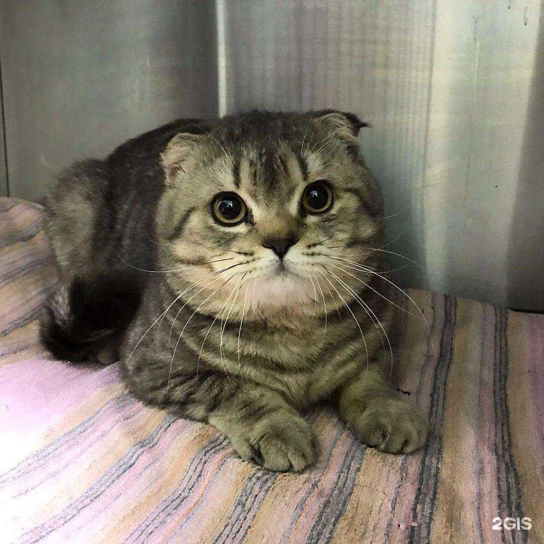 Отзывы на компанию Томас в г. Йошкар-Ола c фото