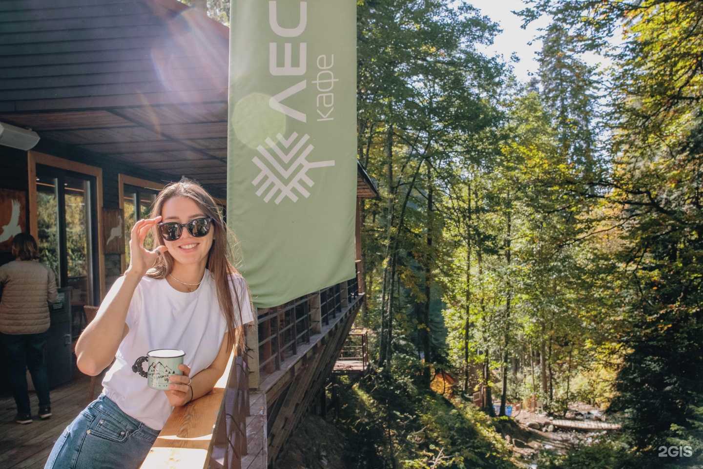 Отзывы на компанию Лес в Сочи c фото