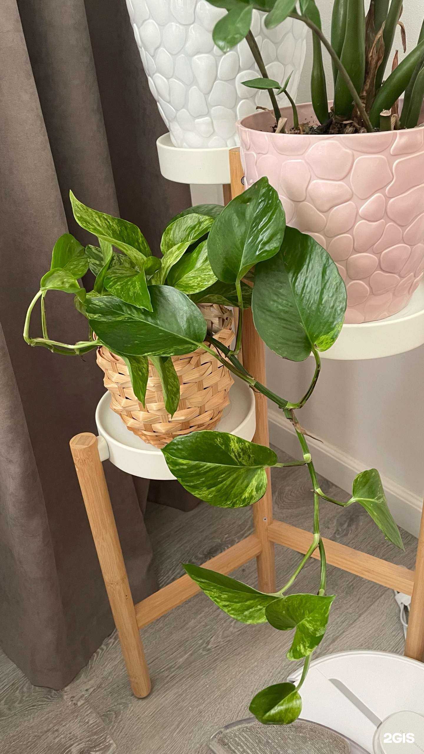 Отзывы на компанию Цветочный рай в г. Астрахань c фото