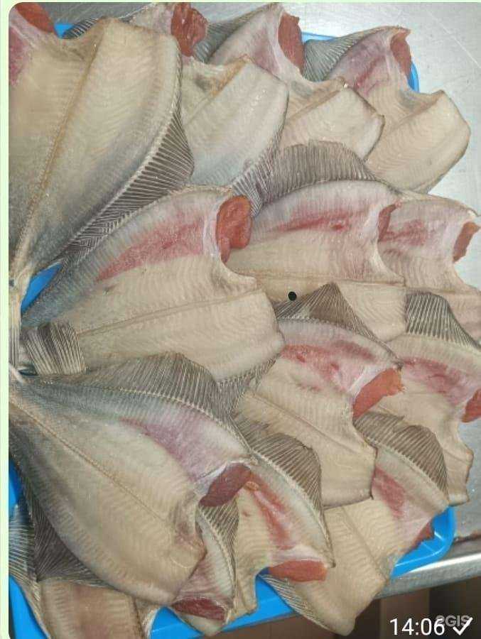 Отзывы на компанию Рыбка на ваш вкус в Петропавловске-Камчатском c фото