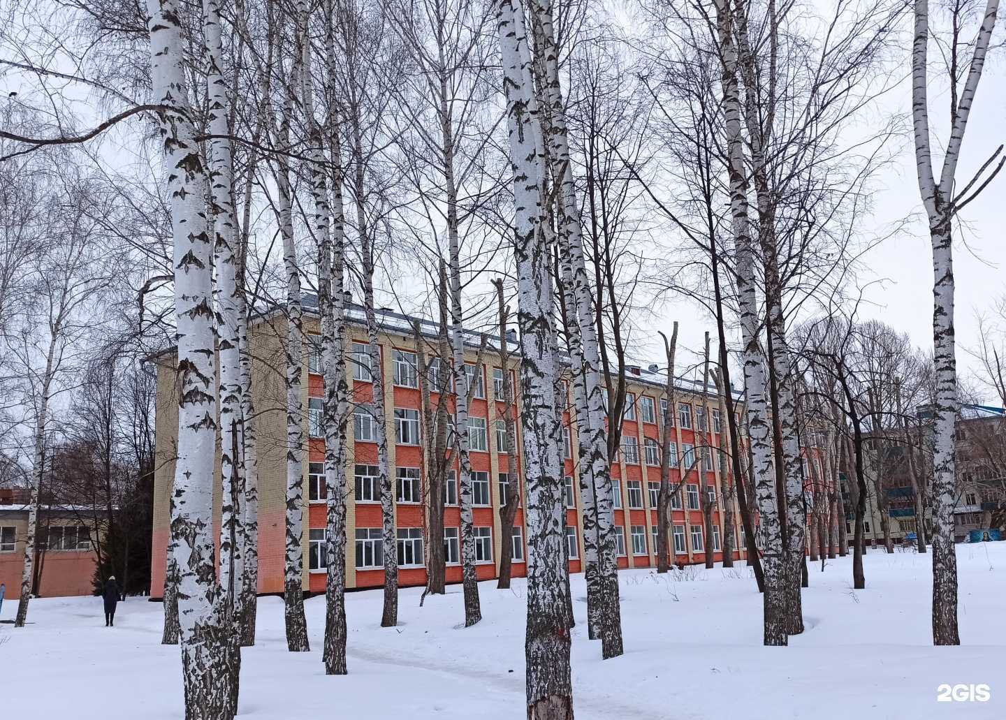 Отзывы на компанию Гимназия №8 в Казани c фото