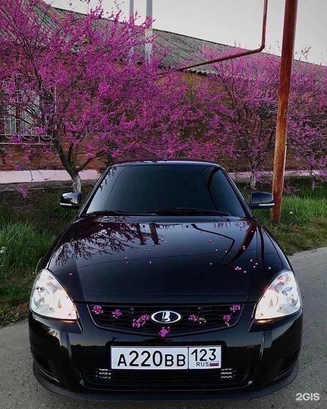 Отзывы на компанию Автоэлектрик в Бийске c фото