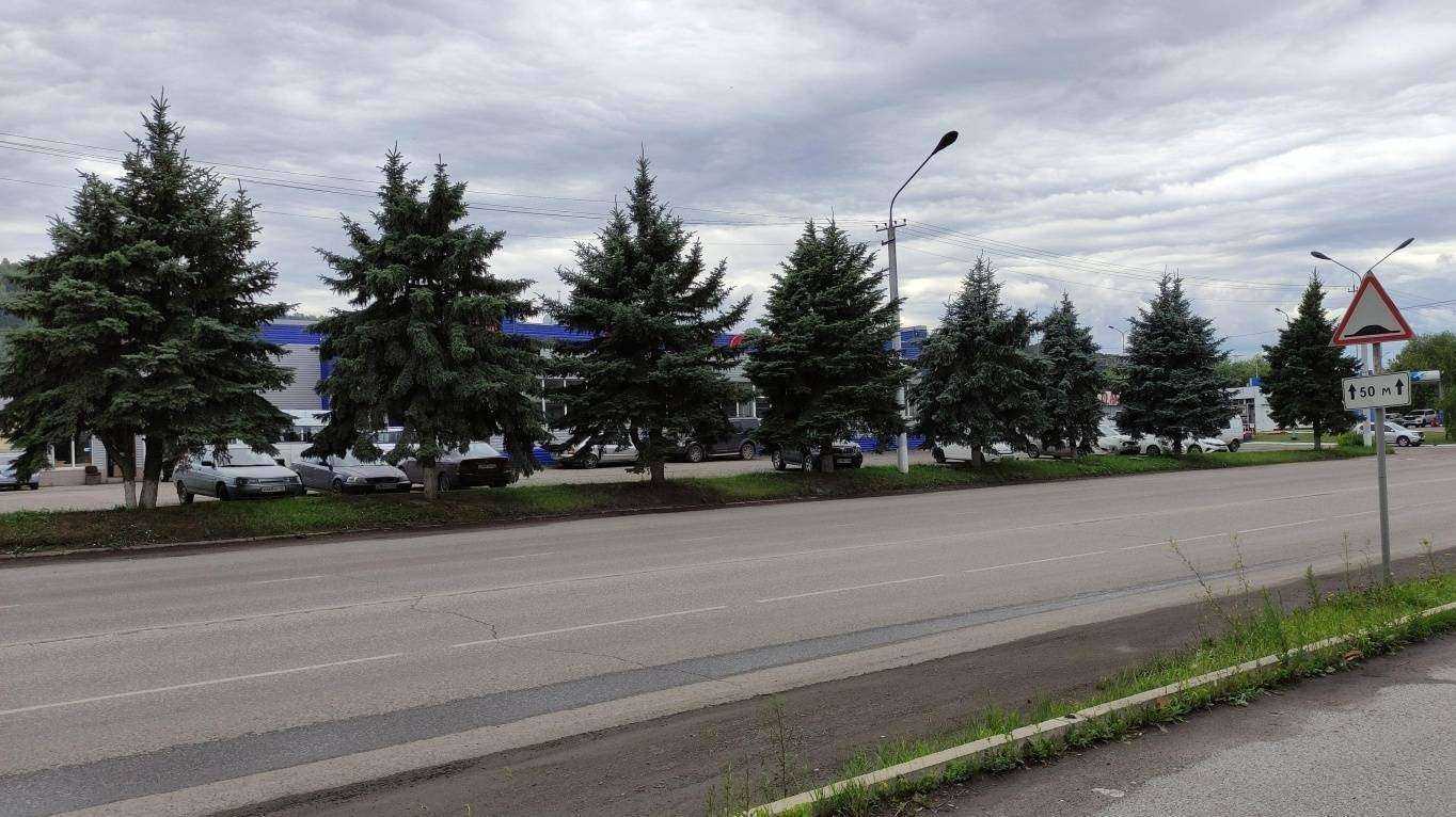 Отзывы на компанию Прогресс в Новокузнецке c фото - фотография 2 из 2