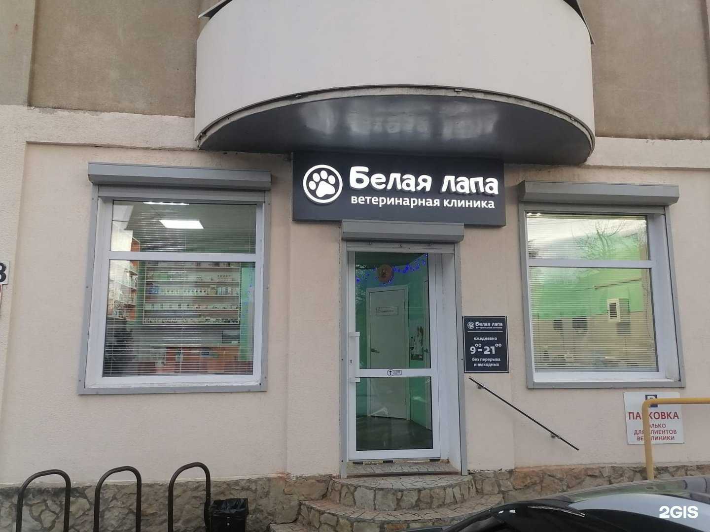 Отзывы на компанию Белая лапа в г. Краснодар c фото