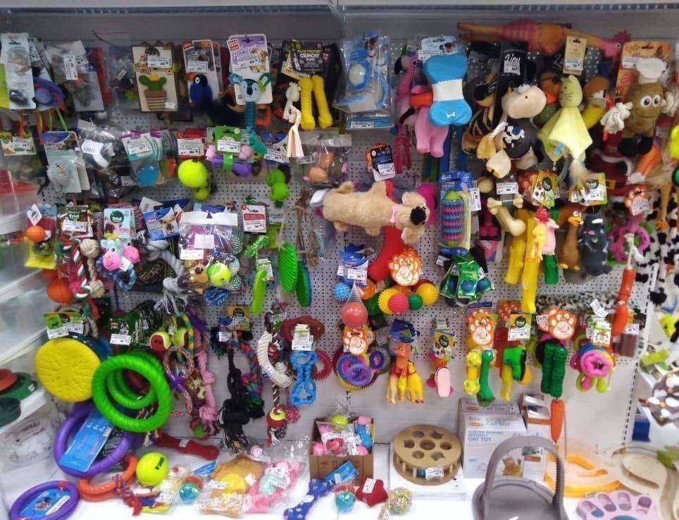 Отзывы на компанию Джунгли в Барнауле c фото