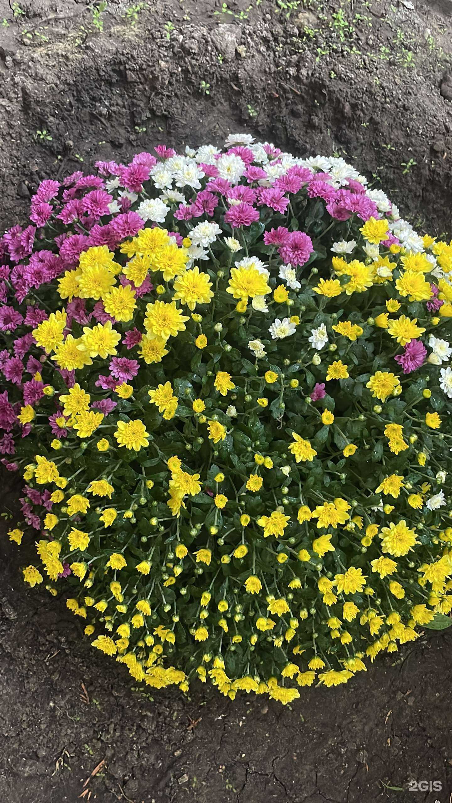 Отзывы на компанию Центр медицины высоких технологий им. И.Ш. Исмаилова в г. Махачкала c фото