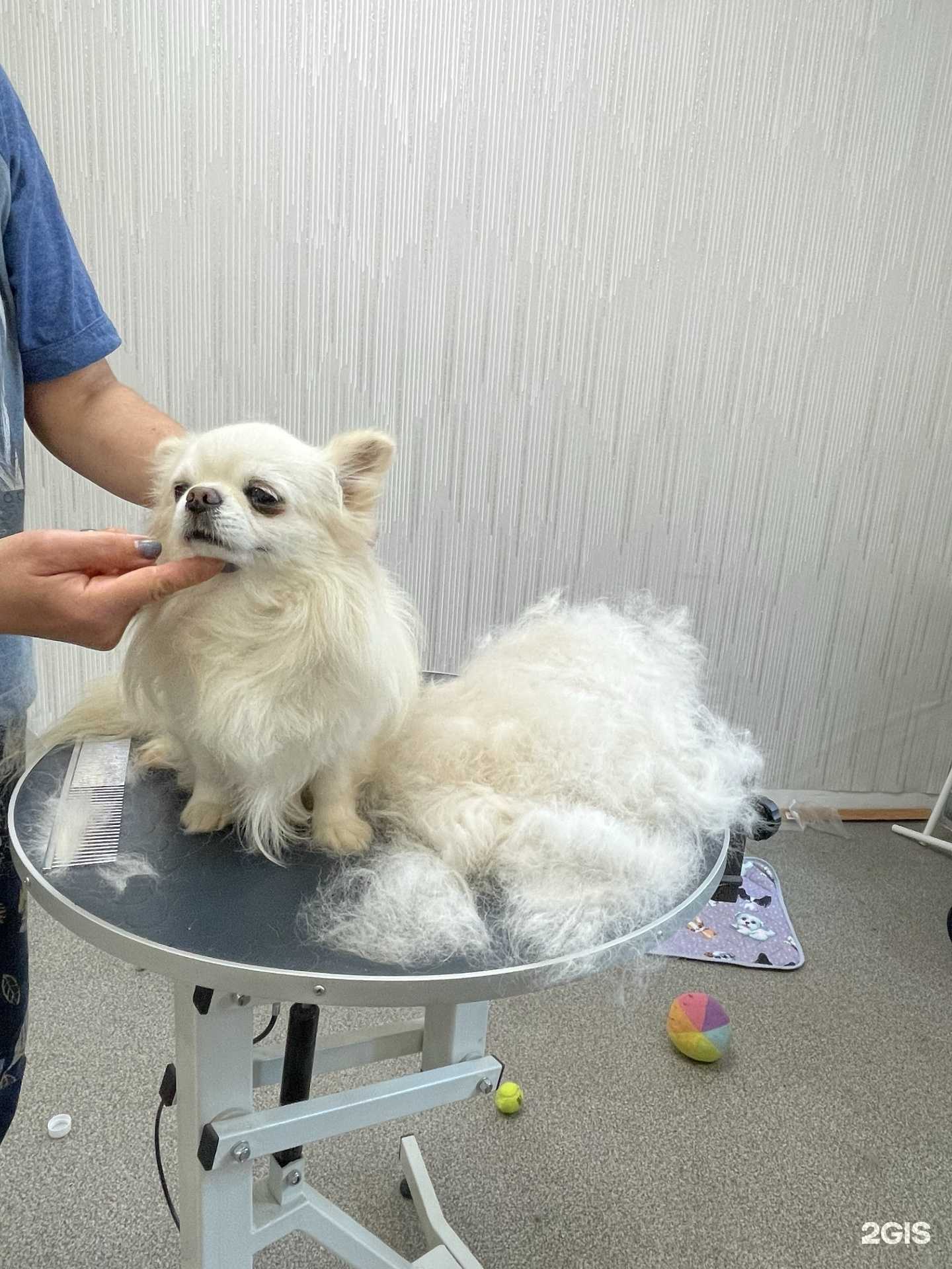 Отзывы на компанию Манзана де Оро в Бердске c фото