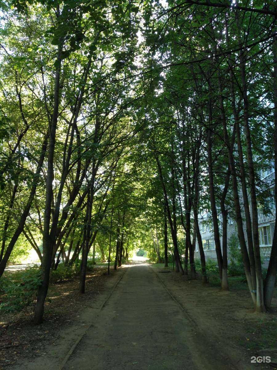 Отзывы на компанию Частнопрактикующий оценщик Андержанова А.Х. в Нижнем Новгороде c фото - фотография 2 из 2