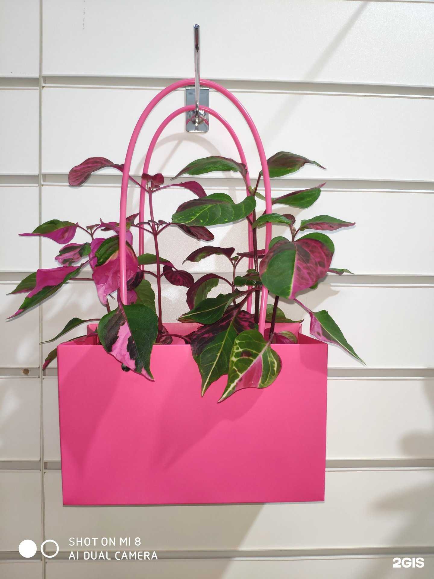 Отзывы на компанию Экзотик в Ставрополе c фото