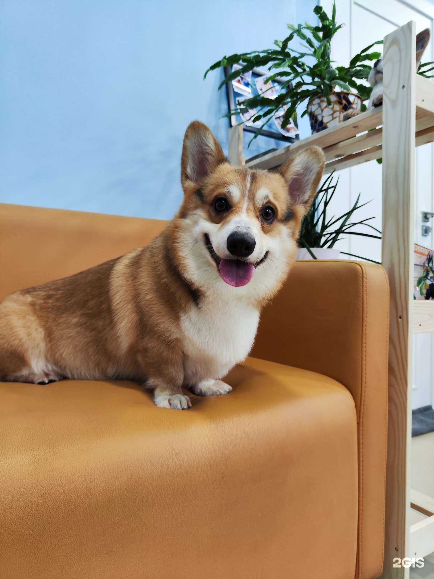 Отзывы на компанию Круэлла в г. Сургут c фото