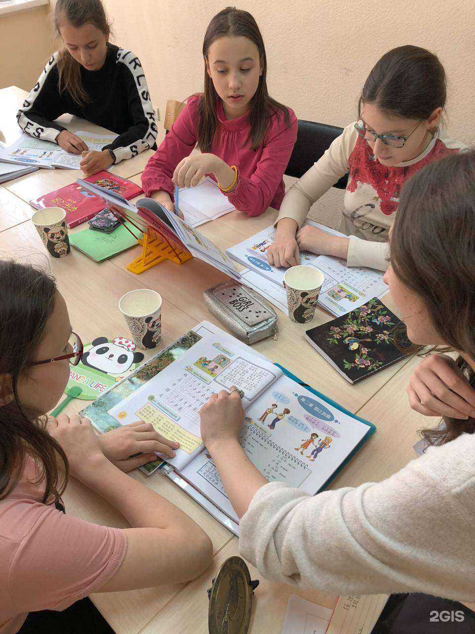 Отзывы на компанию Panda в г. Новосибирск c фото