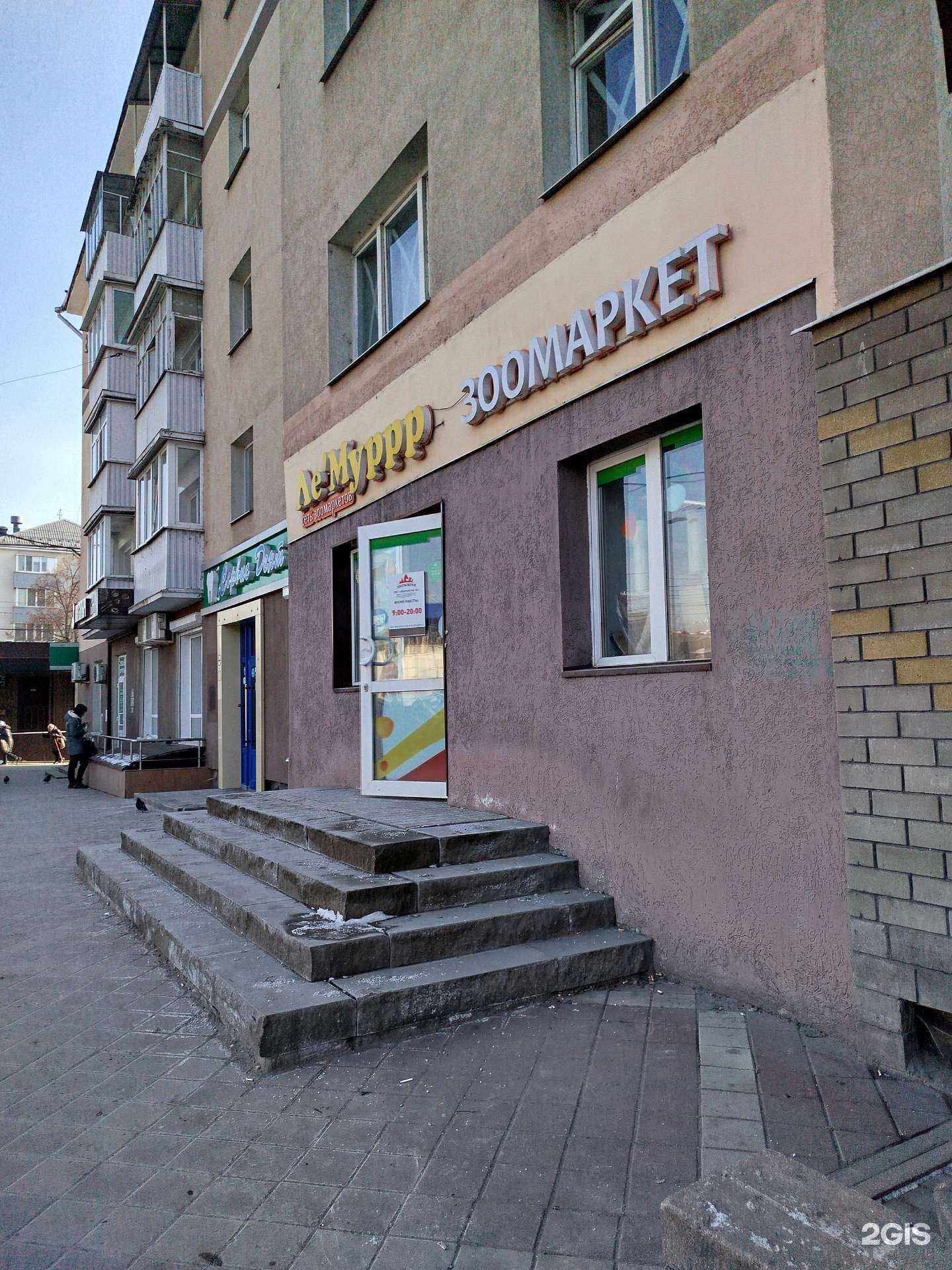 Отзывы на компанию Зоогалерея в г. Белгород c фото