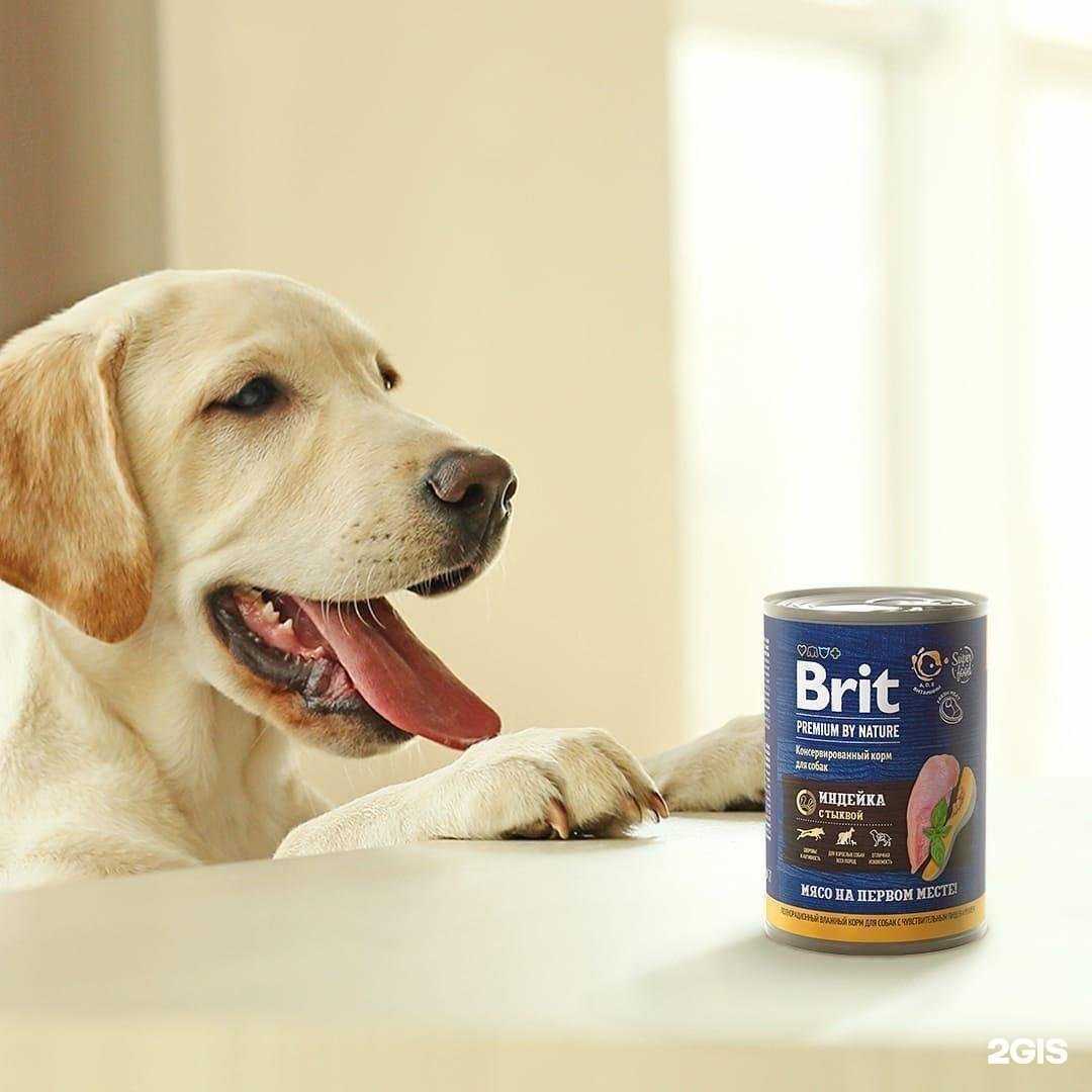 Отзывы на компанию Какаду в Калининграде c фото