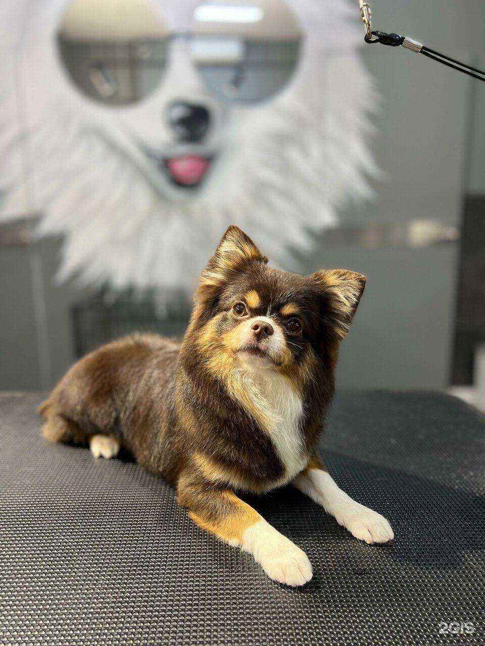 Отзывы на компанию Baltogroom в Коммунарке c фото