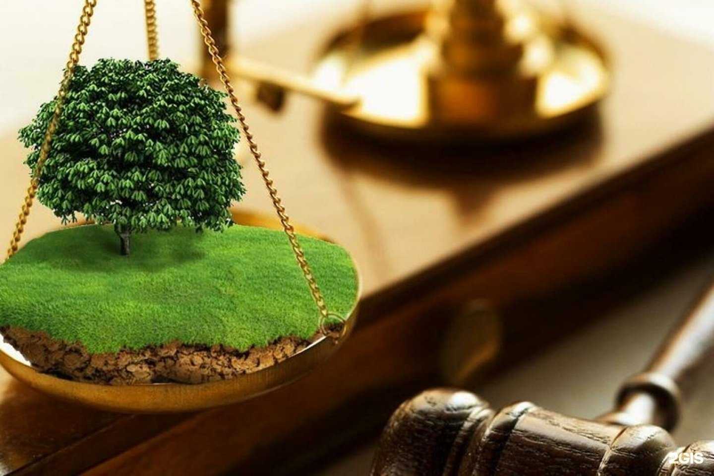 Отзывы на компанию Адвокатский кабинет Фазлеевой А.Ф. в Уфе c фото