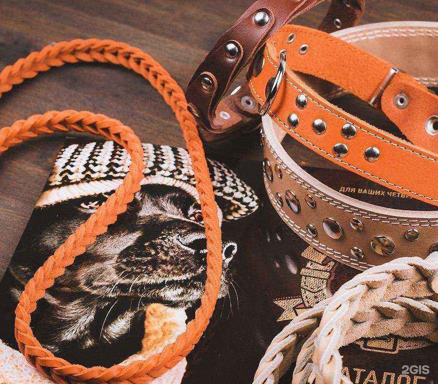 Отзывы на компанию Зоомагазин в Краснодаре c фото