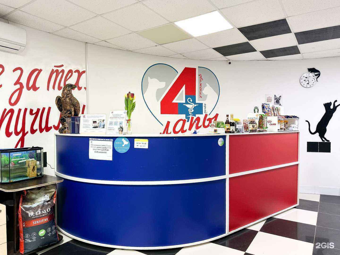 Отзывы на компанию 4 движения одной лапы кота в Чебоксарах c фото