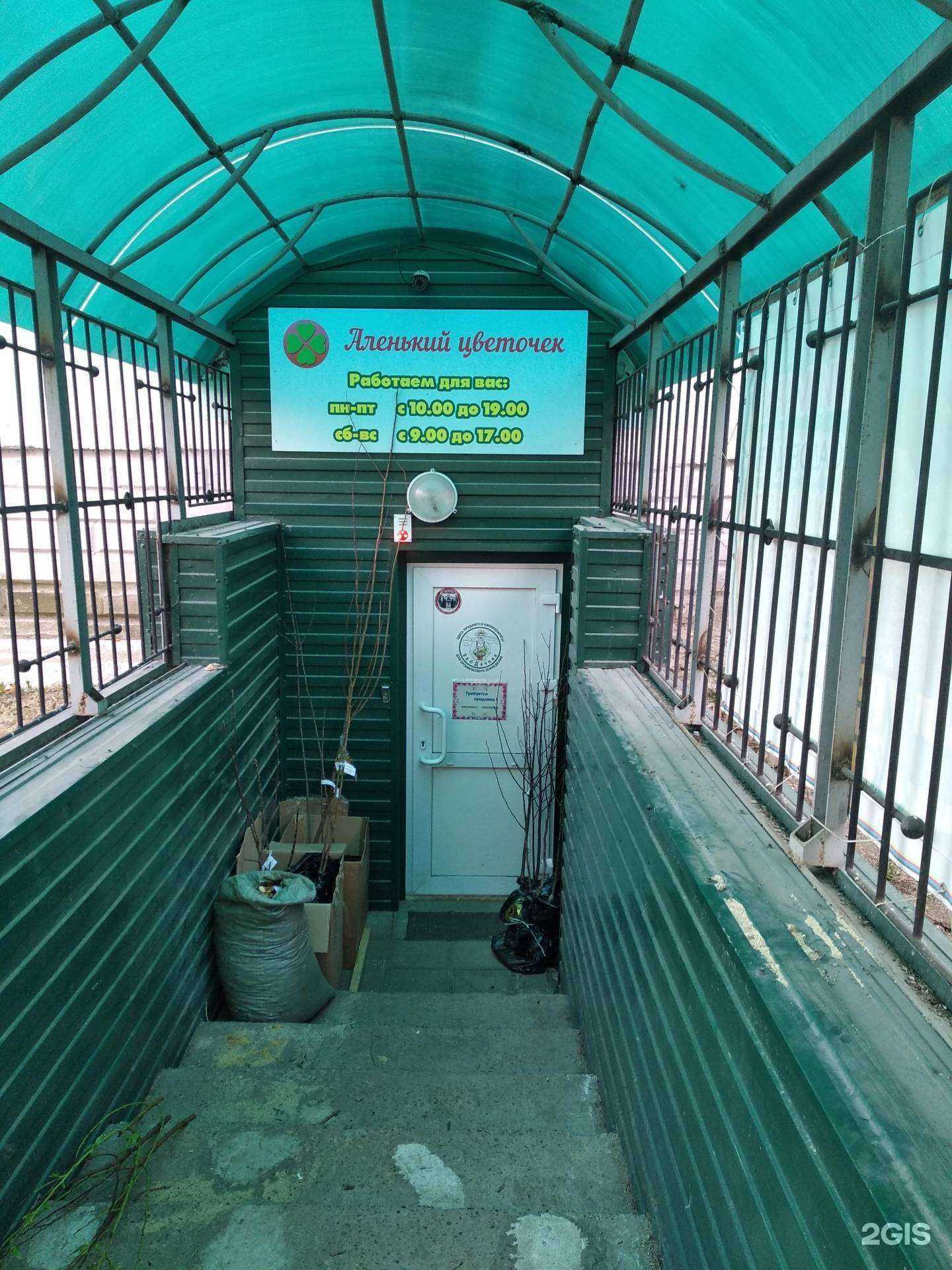 Отзывы на компанию Аленький цветочек в г. Железногорск c фото