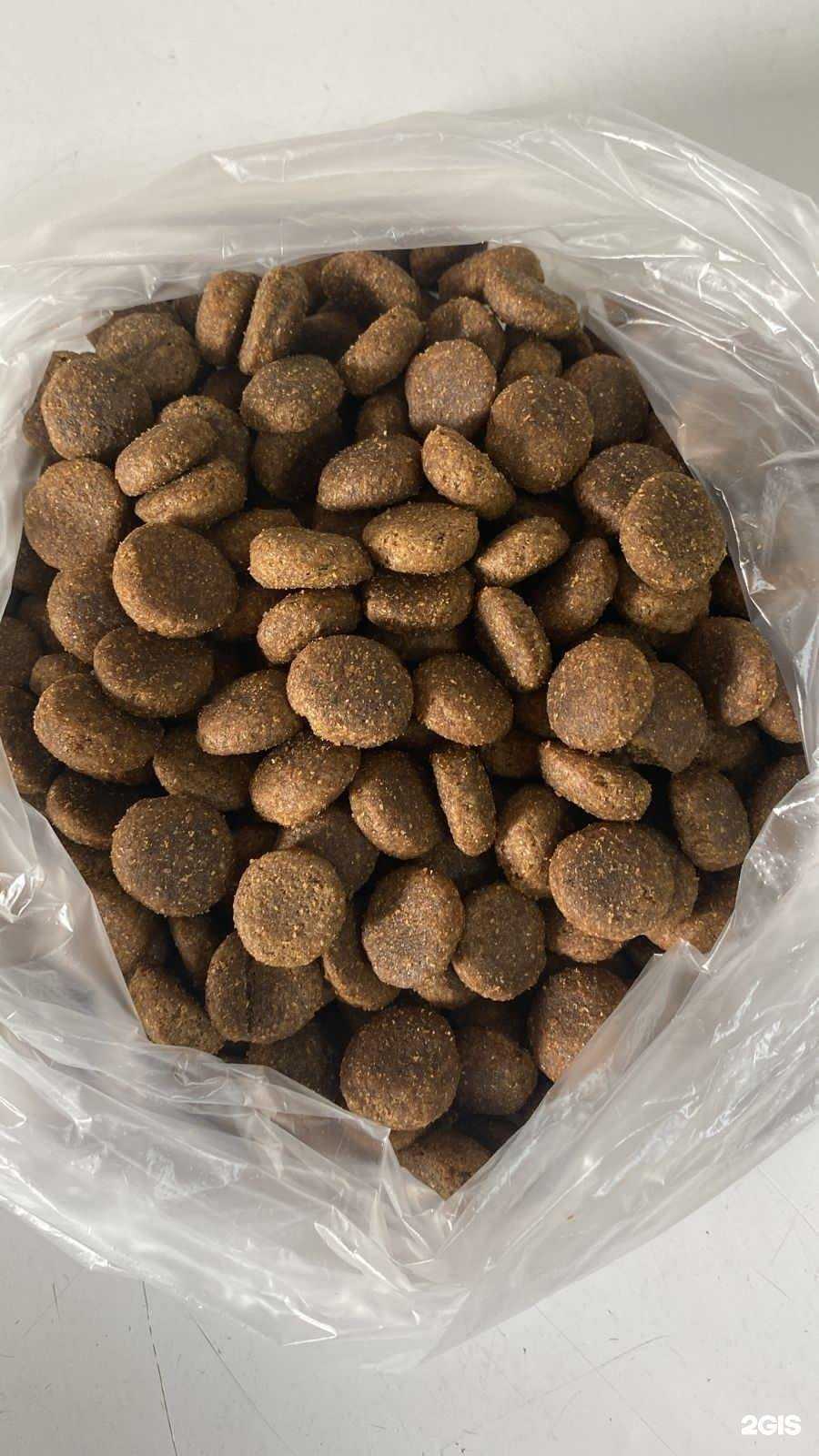 Отзывы на компанию Собачья радость в Александрове c фото