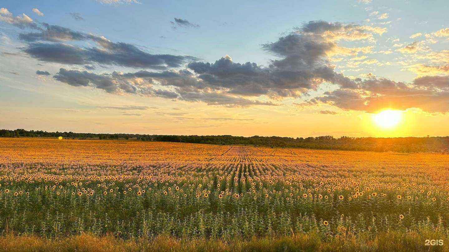 Отзывы на компанию Автомойка в Новосибирске c фото