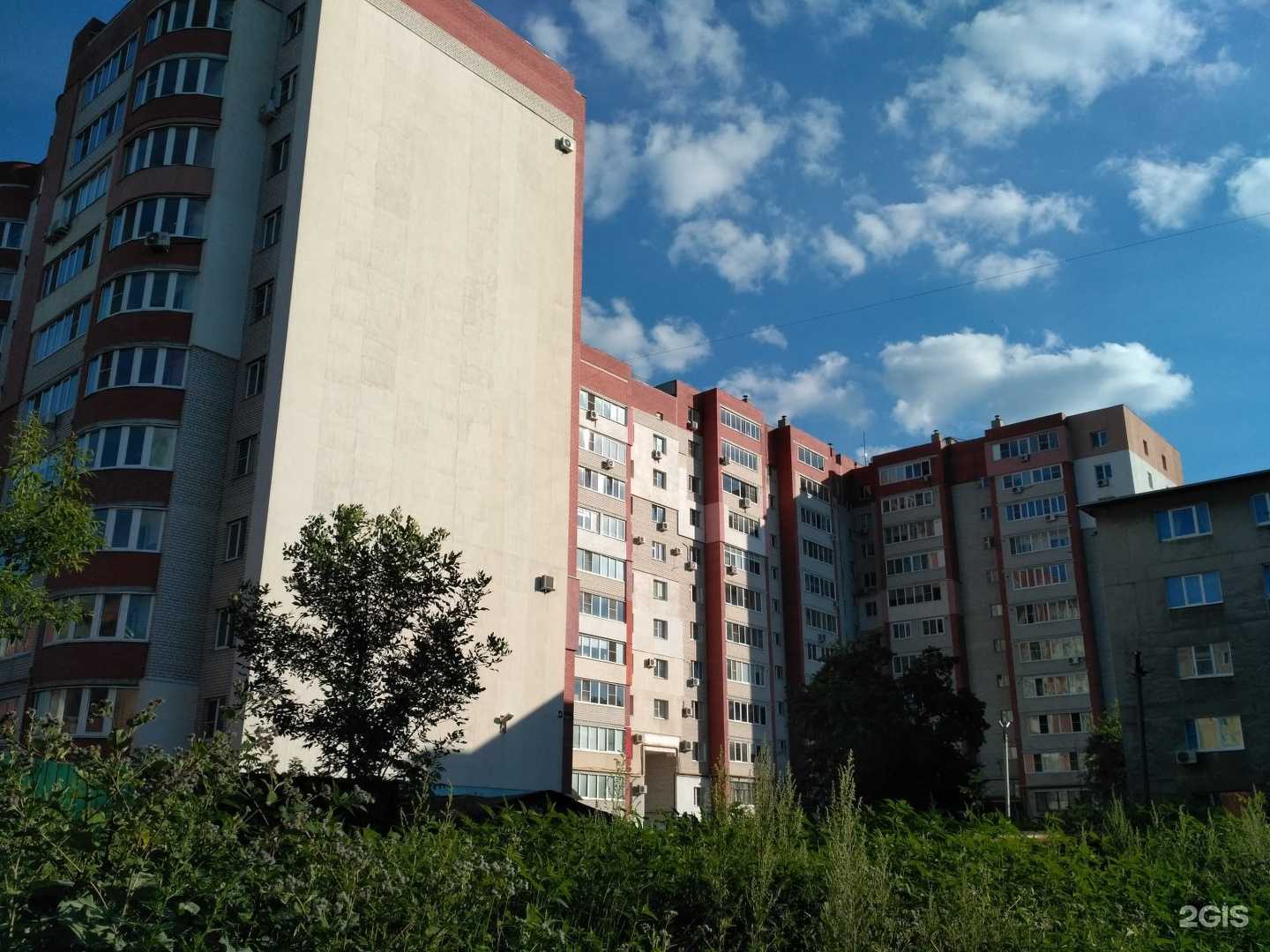 Отзывы на компанию Анемона в Рязани c фото - фотография 2 из 2