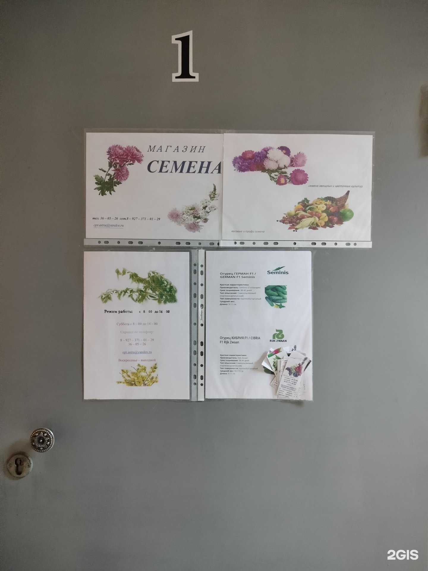 Отзывы на компанию Семена в Пензе c фото