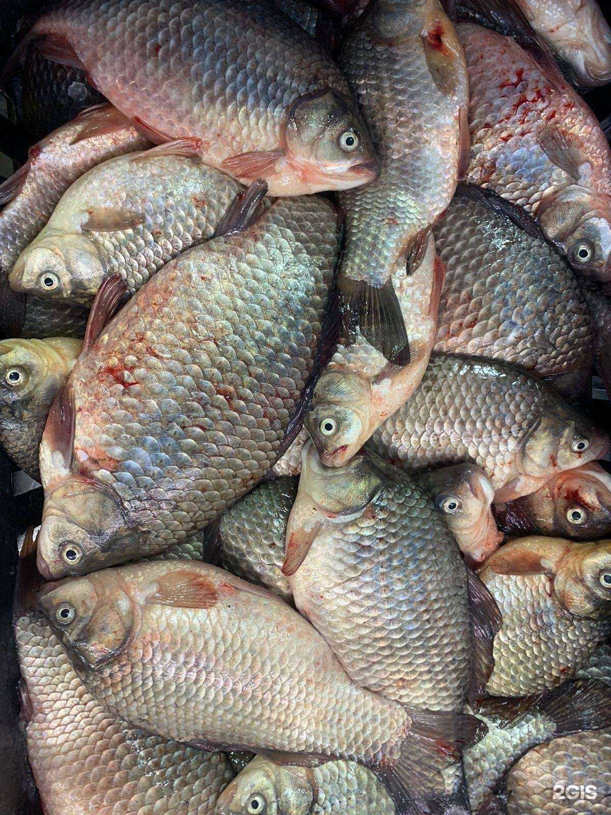 Отзывы на компанию Дары природы в Сургуте c фото