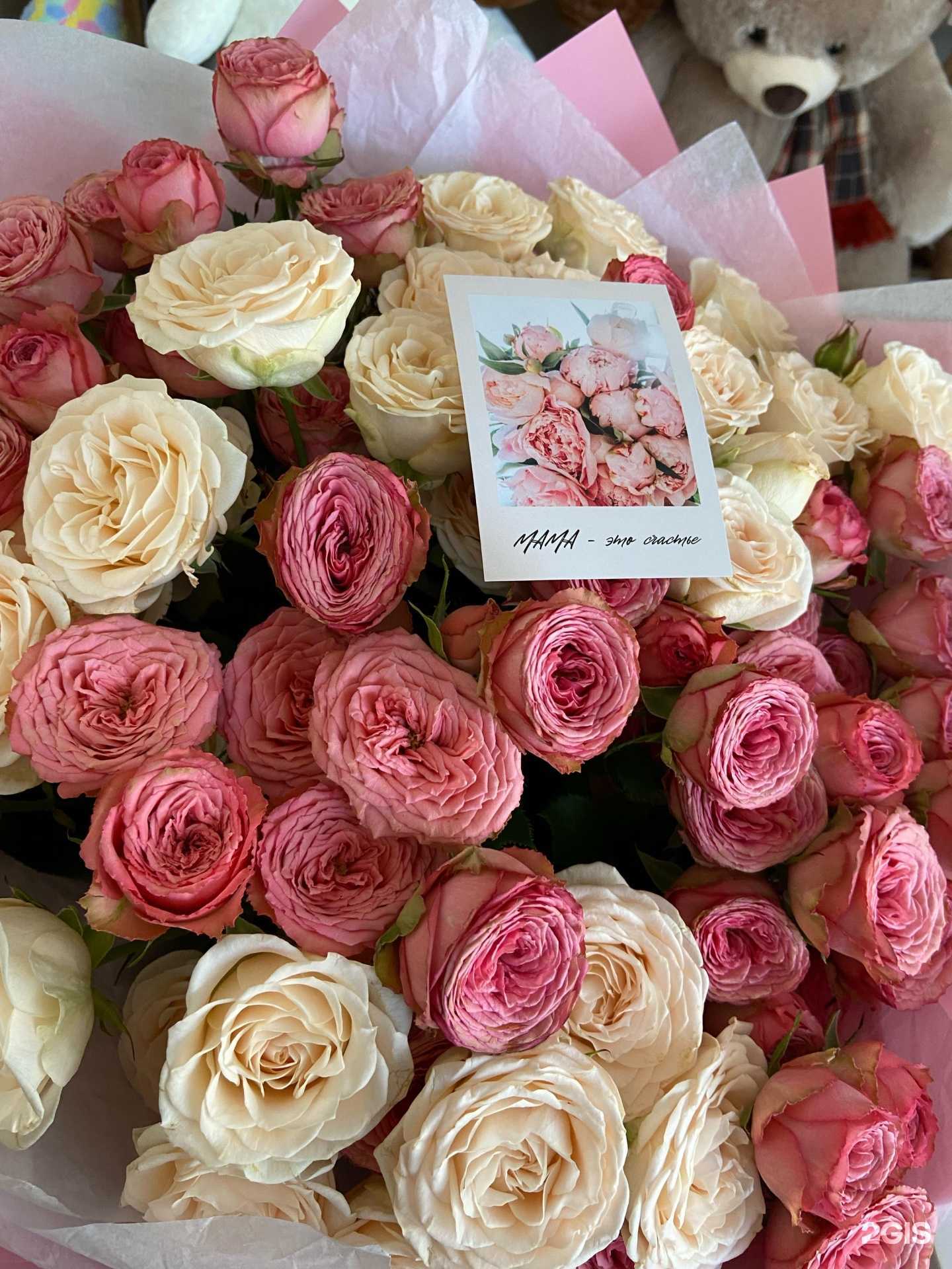 Отзывы на компанию Розариум в Черкесске c фото