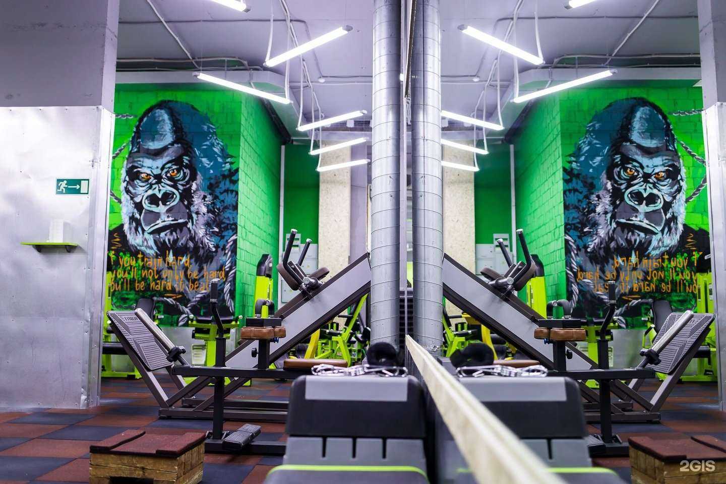 Отзывы на компанию Green gorillaz в Кемерове c фото